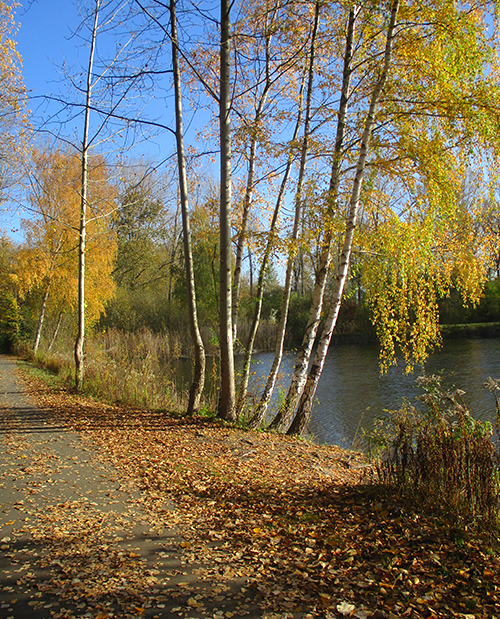 Der Radweg vor Bernau